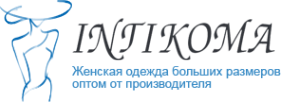 Логотип компании Интикома
