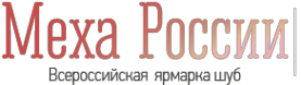 Логотип компании Меха России