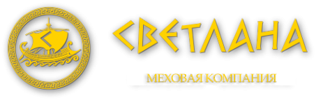 Логотип компании Светлана