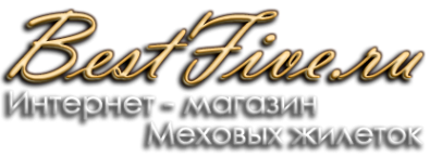 Логотип компании Best-Five.ru