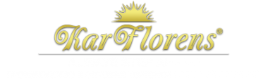 Логотип компании KarFlorens
