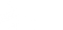 Логотип компании Dimanche