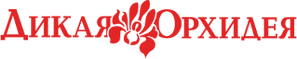 Логотип компании Дикая Орхидея