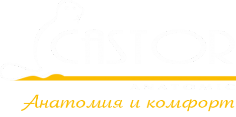 Логотип компании Castor