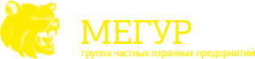 Логотип компании Мегур