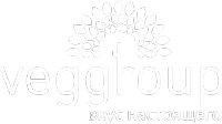 Логотип компании VEG Group