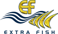 Логотип компании Экстра Фиш