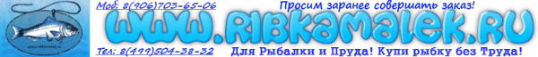 Логотип компании Рыбка Малек