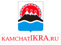 Логотип компании Kamchatikra.ru