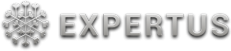 Логотип компании Экспертус
