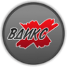 Логотип компании ВДИКС