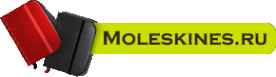 Логотип компании Moleskines