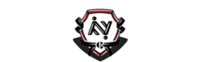 Логотип компании Школа боевых искусств Дмитрия Носова