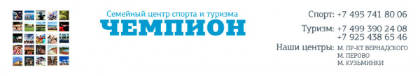 Логотип компании Чемпион