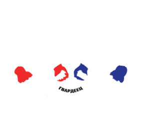 Логотип компании Гвардеец