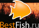 Логотип компании Bestfish.ru