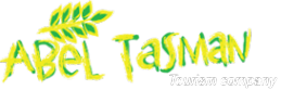 Логотип компании Абель Тасман
