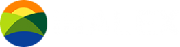 Логотип компании ИНАЛЕКС