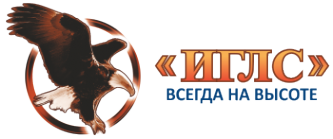Логотип компании ИГЛС Логотип компании ИГЛС