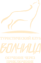 Логотип компании Волчица