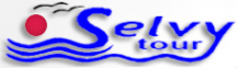 Логотип компании Сэлви тур