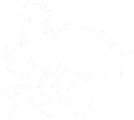 Логотип компании RRT-kart