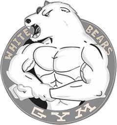 Логотип компании Белые медведи