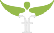Логотип компании Force Factory