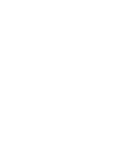 Логотип компании Ключевой Элемент