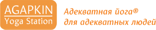 Логотип компании Agapkin Yoga Station