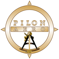 Логотип компании Пилон