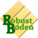 Логотип компании Robust Boden