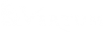 Логотип компании Vertum