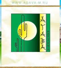 Логотип компании Агава Маргината