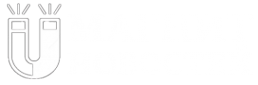 Логотип компании Магнит-Н