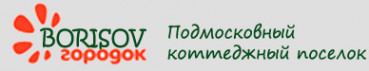 Логотип компании Борисов Городок