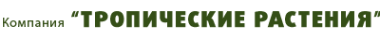 Логотип компании Тропические растения