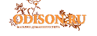 Логотип компании Odison.ru
