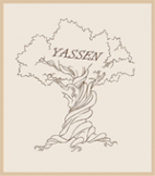 Логотип компании Yassen