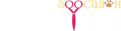Логотип компании Балути