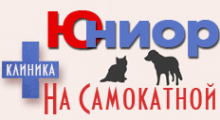 Логотип компании Юниор ЛДЦ