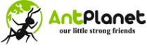 Логотип компании AntPlanet