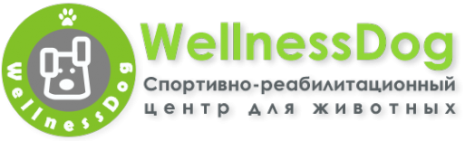 Логотип компании WellnessDog