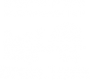 Логотип компании Brain Train