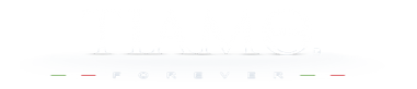 Логотип компании Tiamo