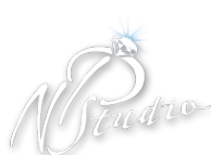 Логотип компании NP-Studio