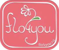 Логотип компании Flo4you