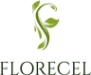 Логотип компании Стабилизированные растения