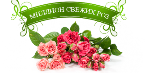 Логотип компании Миллион свежих роз