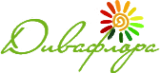 Логотип компании Дива флора